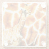 Baby Giraffe Glazen Onderzetter (Achterkant)