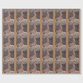 Baby Giraffe Inpakpapier (Vlak)
