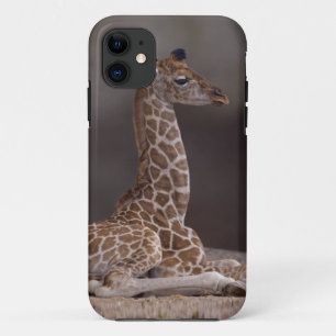 Baby Giraffe iPhone 5 Case-Mate Hoesje