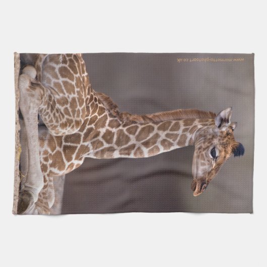 Baby Giraffe Kitchen Towel Theedoek (Horizontaal)