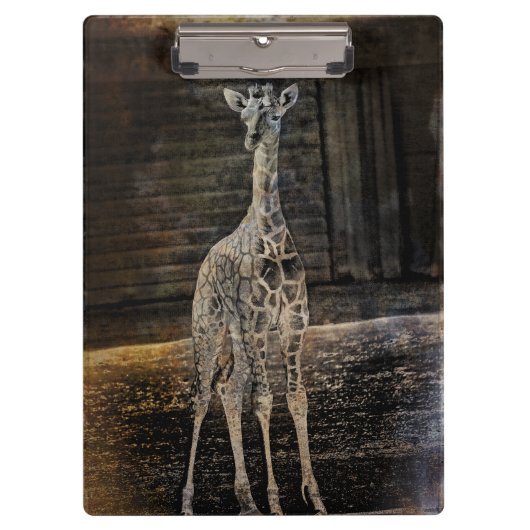 Baby Giraffe Klembord (Voorkant)