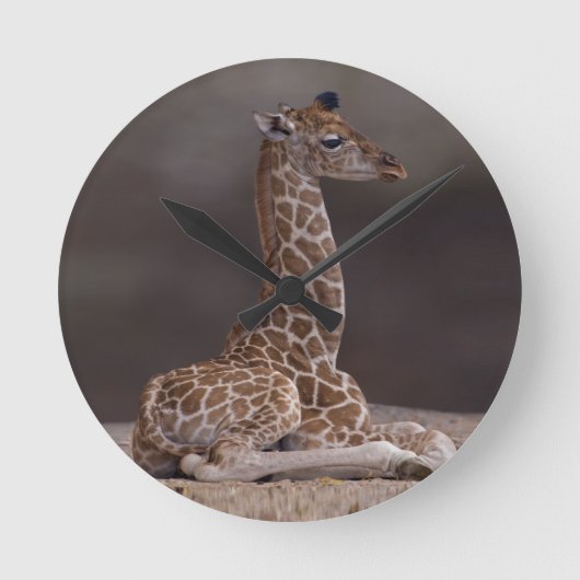 Baby Giraffe Klok (Voorkant)