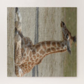 Baby Giraffe Legpuzzel (Horizontaal)