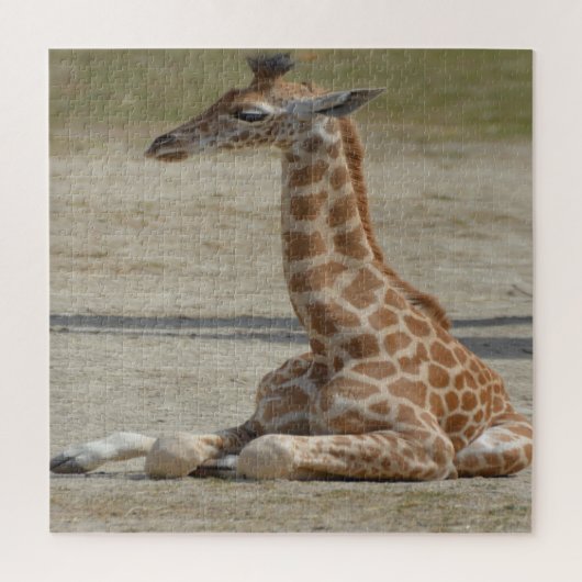 Baby Giraffe Legpuzzel (Verticaal)