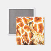 Baby Giraffe Magneet (Voorkant / Achterkant)