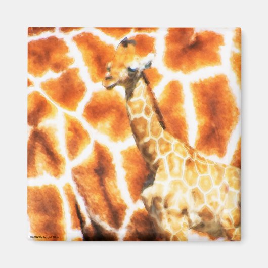 Baby Giraffe Magneet (Voorkant)