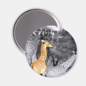 Baby Giraffe Magneet (Voorkant / Achterkant)