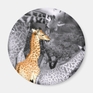 Baby Giraffe Magneet