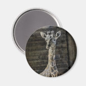 Baby Giraffe Magneet (Voorkant / Achterkant)