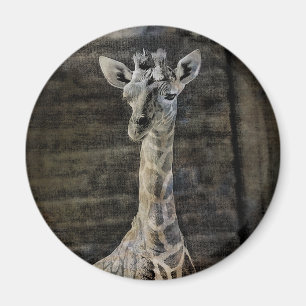Baby Giraffe Magneet