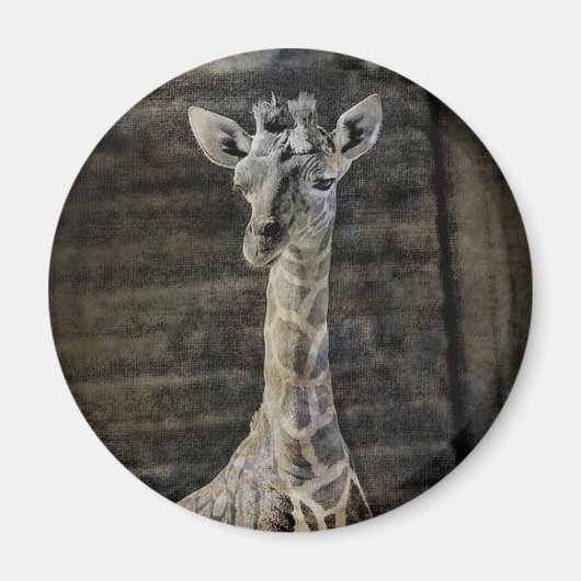 Baby Giraffe Magneet (Voorkant)