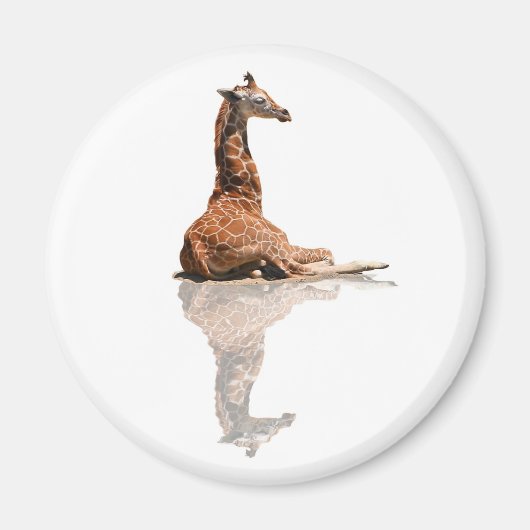 BABY GIRAFFE MAGNEET (Voorkant)