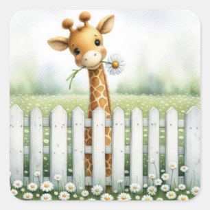 Baby Giraffe met Daisy Vierkante Sticker