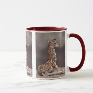 Baby Giraffe Mok