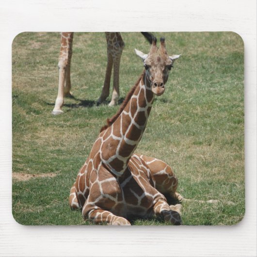 Baby Giraffe Muismat (Voorkant)