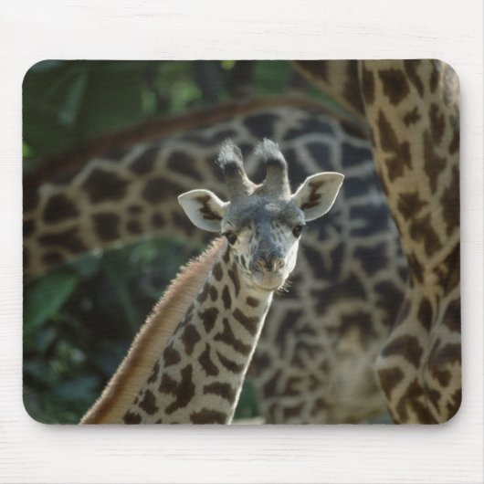 Baby Giraffe Muismat (Voorkant)