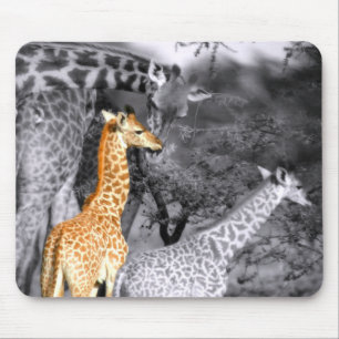 Baby Giraffe Muismat