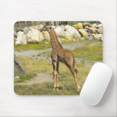Baby Giraffe Muismat (Met muis)