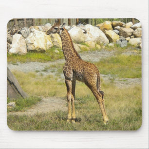 Baby Giraffe Muismat