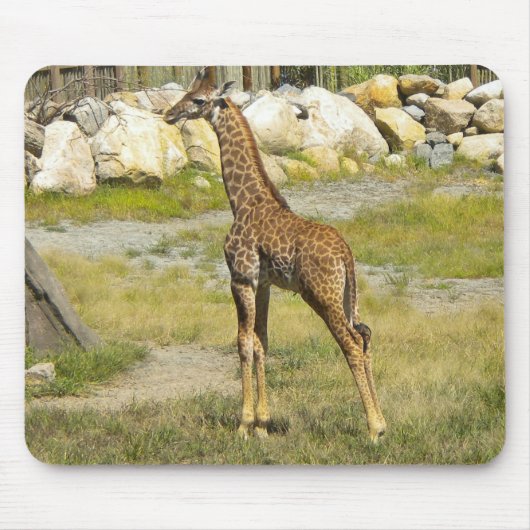 Baby Giraffe Muismat (Voorkant)