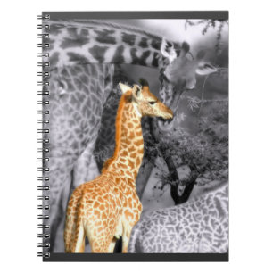 Baby Giraffe Notitieboek