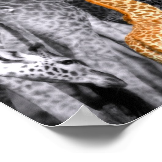 Baby Giraffe Poster (Hoek)