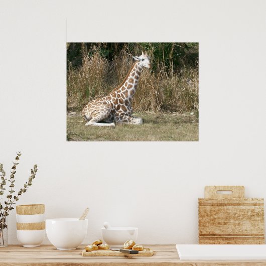 Baby Giraffe Poster (Keuken)