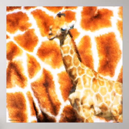 Baby Giraffe Poster (Voorkant)