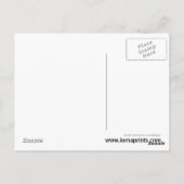 Baby Giraffe Retro Circles Postcard Briefkaart (Achterkant)