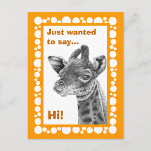 Baby Giraffe Retro Circles Postcard Briefkaart