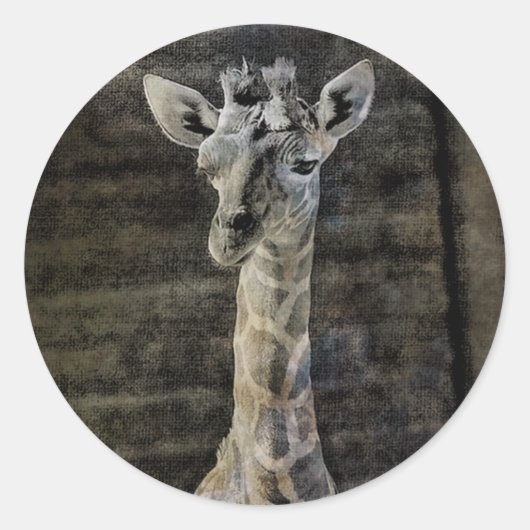 Baby Giraffe Ronde Sticker (Voorkant)