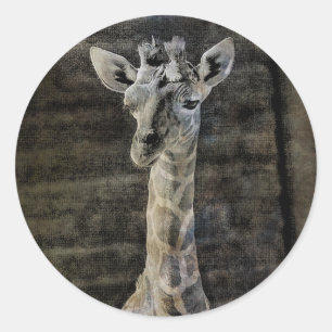 Baby Giraffe Ronde Sticker