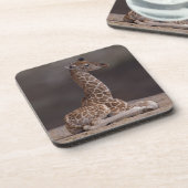 Baby Giraffe Set van 6 Onderzetters (Linkerzijde)