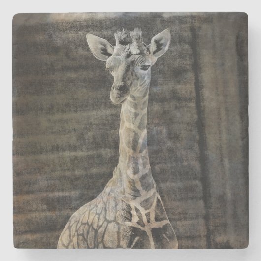 Baby Giraffe Stenen Onderzetter (Voorkant)