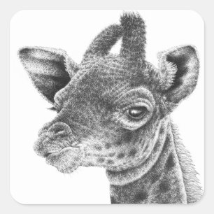 Baby Giraffe Sticker