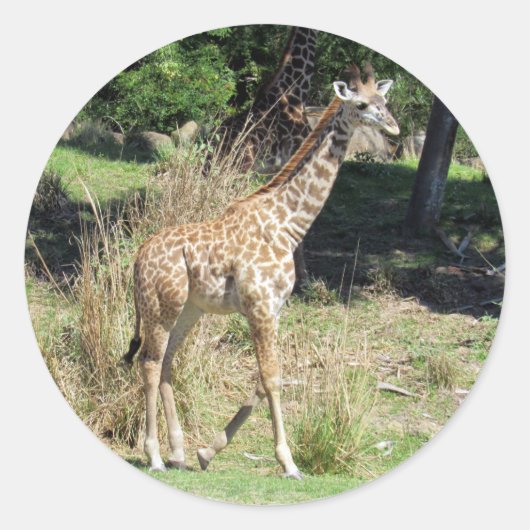 Baby Giraffe Stickers (Voorkant)