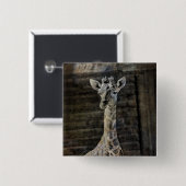 Baby Giraffe Vierkante Button 5,1 Cm (Voorkant /achterkant)