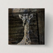 Baby Giraffe Vierkante Button 5,1 Cm (Voorkant)