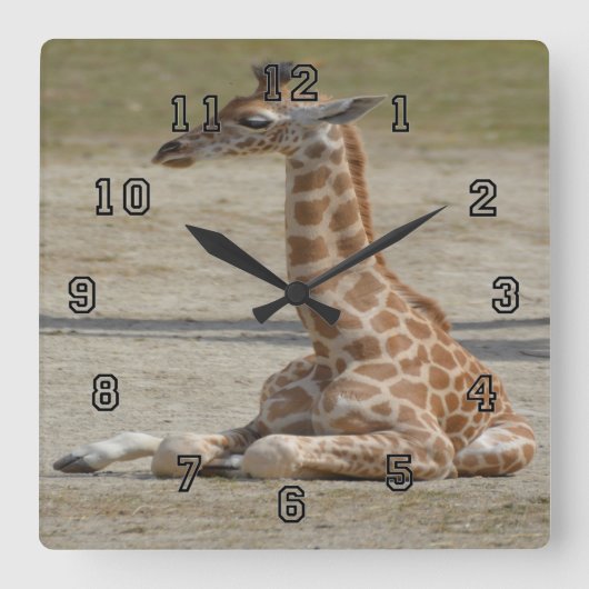 Baby Giraffe Vierkante Klok (Voorkant)