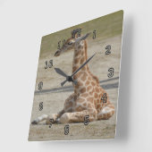 Baby Giraffe Vierkante Klok (Hoek)