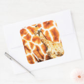 Baby Giraffe Vierkante Sticker (Envelop)