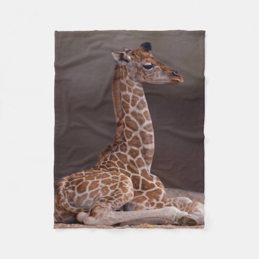 Baby Giraffe Vliesdeken Fleece Deken (Voorkant)
