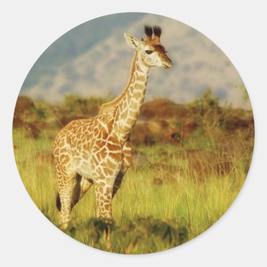 Baby giraffe wilde dieren stickers (Voorkant)