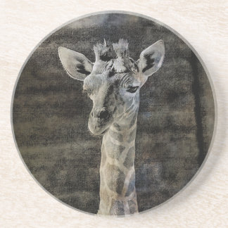 Baby Giraffe Zandsteen Onderzetter