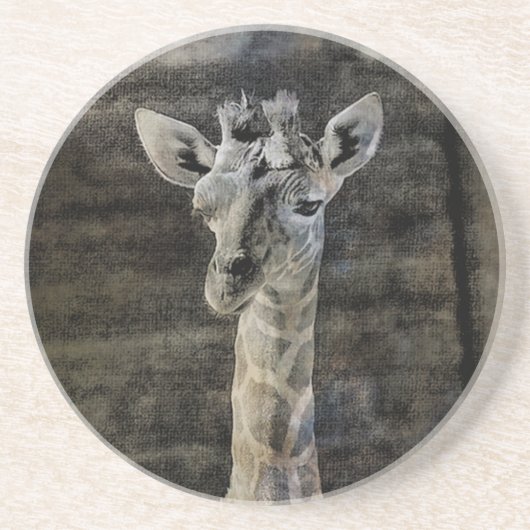 Baby Giraffe Zandsteen Onderzetter (Voorkant)