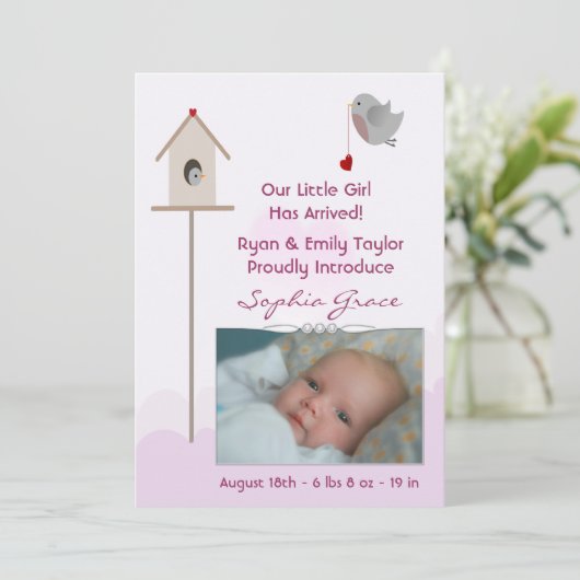 Baby Girl Birdsnest Foto Aankondigingen van de geb (Staand voorkant)