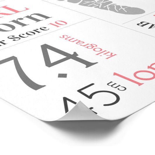 Baby Girl Birth Stat Sign Roze Floral Footprint Poster (Hoek)