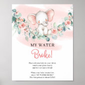 Baby Girl Elephant My Water Broke-gebarentaal Poster (Voorkant)
