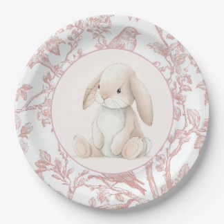 Baby Girl First Birthday Party Paper Plates Papieren Bordje
