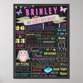 Baby Girl First Birthday Poster (Voorkant)